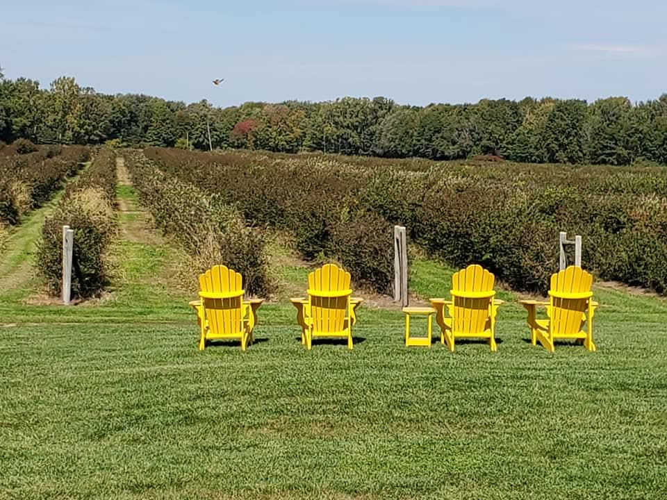 The views at Blueberry Hills Winery make it worth the visit to Norfolk County