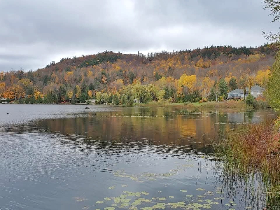 Ontario Road Trip Guides to the best of Ontario