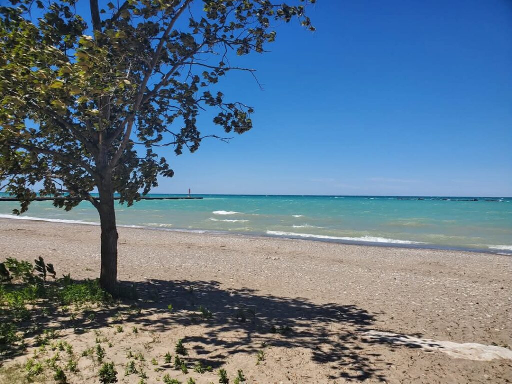 The beach at the Tiny Tot playground is the perfect beach for families with young children