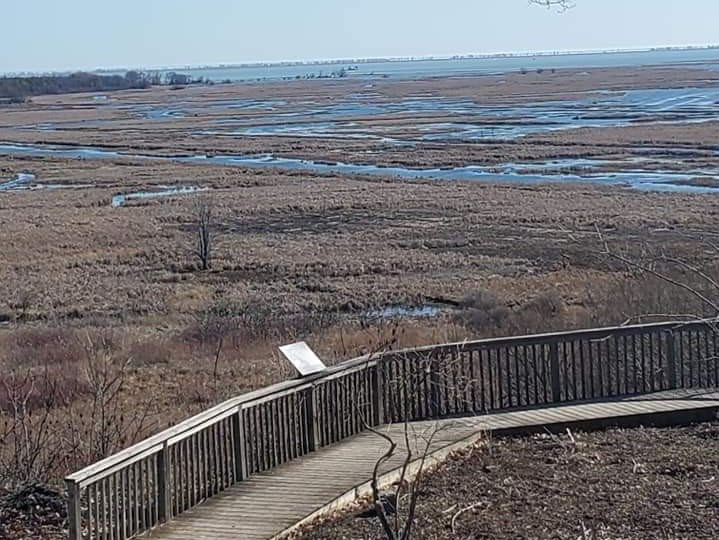Stop for pictures of Long Point Biosphere when on the Cruise the Coast, a top Ontario road trip