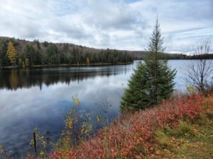 Top Ontario Road Trips You Need To Experience