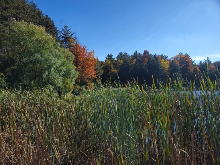 Hiking trails at Huron Natural Area in Kitchener