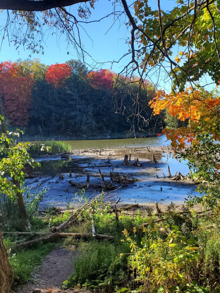 Huron Natural Area is a year-round hiking destination in Kitchener.  The most beautiful time to visit in in the Fall for the vibrant colours