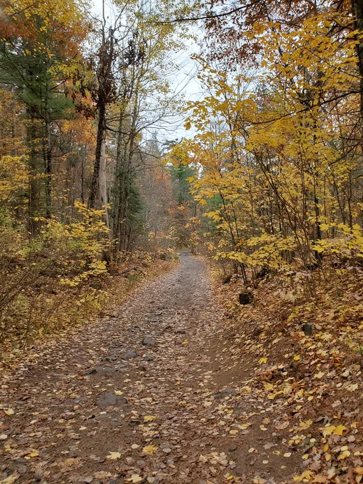 The beginning of the hike to Eagles Nest Lookout is relatively flat and considered to be easy
