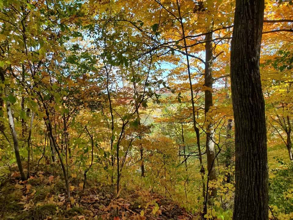 The Homer Watson trail in Kitchener is especially gorgeous during the Fall