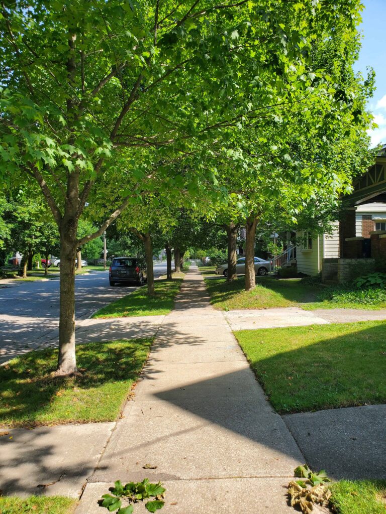 One of the best things to do in downtown Kitchener is to explore the historic district