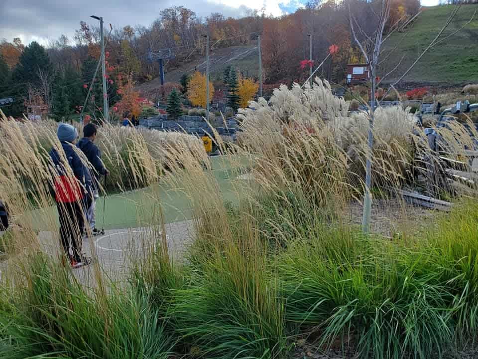 Blue Mountain is the closest town to visit from Collingwood and offers outdoor adventures year round