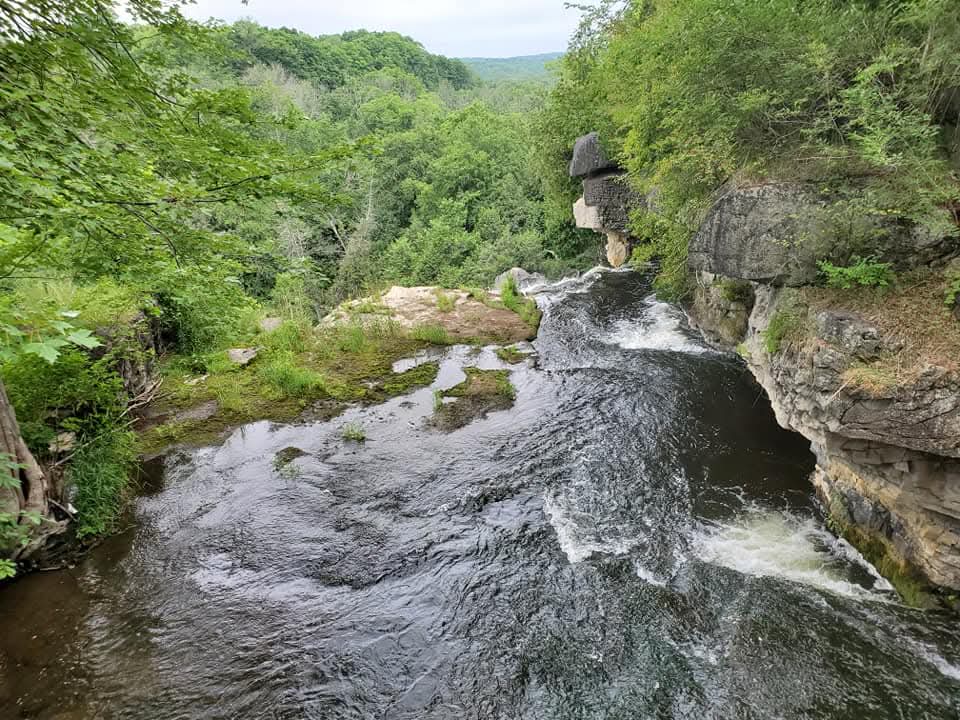 stream leading into Jones Falls surrounding by large green trees seen while hiking at Jones Falls in Owen Sound
