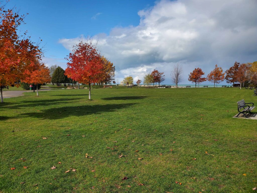 The trees at Sunset Point in Collingwood during the Fall turn a vibrant red.