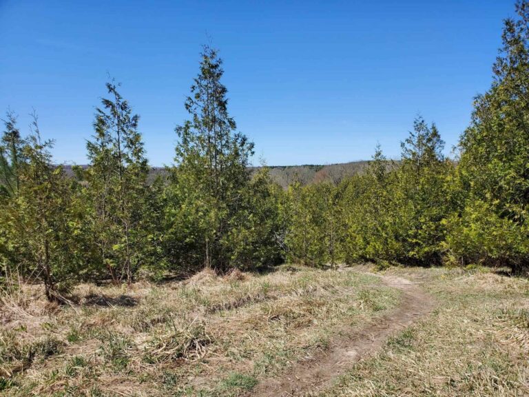 road trips help to heal when they take you off the beaten path