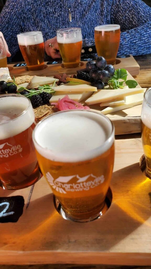 beer tasting at Charlotteville Brewing Co is one of the many things to do in Norfolk County