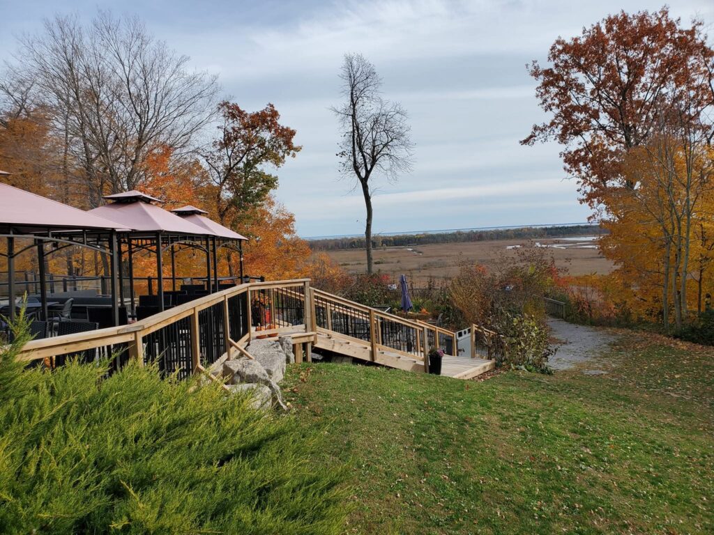 looking out over the UNESCO Biosphere from Marshview Restaurant at Eco Adventures