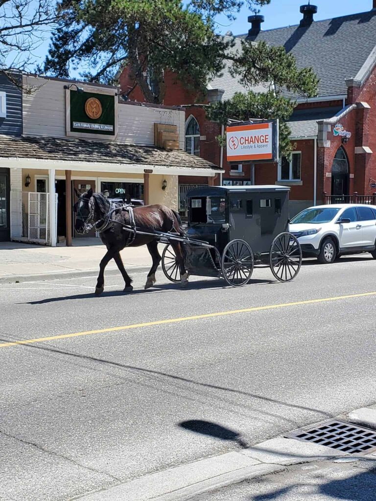 Visit St. Jacobs in southwestern Ontario to experience traditional Mennonite culture