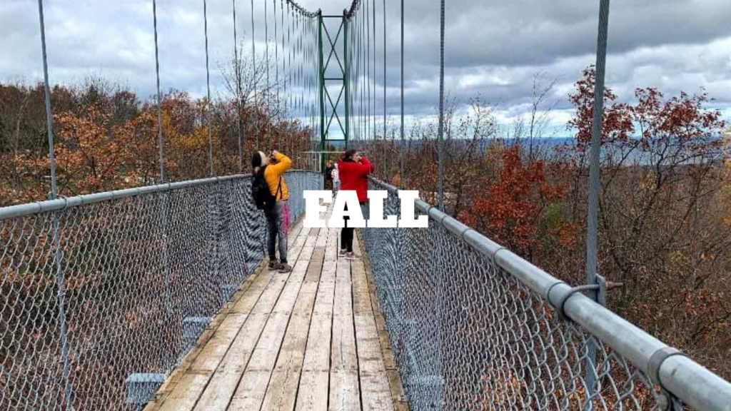 Ontario Fall essential packing list together with recommended Fall activities for your Ontario visit