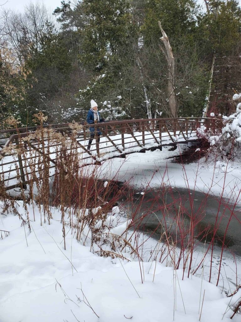 Ontario has many trails for visitors to enjoy Winter hiking