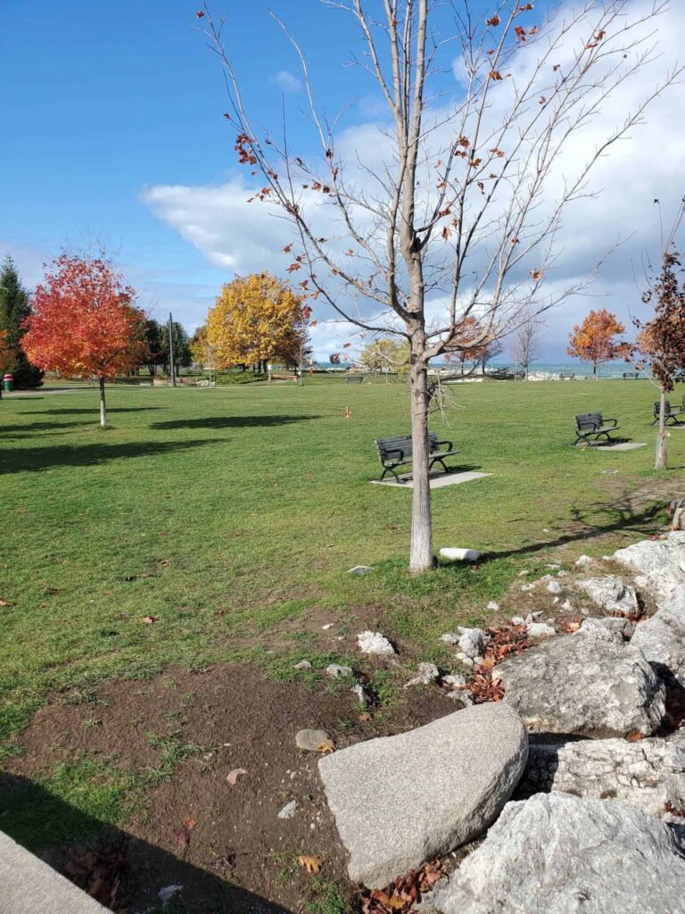My favourite time to visit Sunset Park in Collingwood is Fall and it's free!