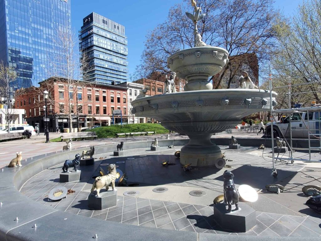 Visit the downtown dog park during your 4 days in Toronto