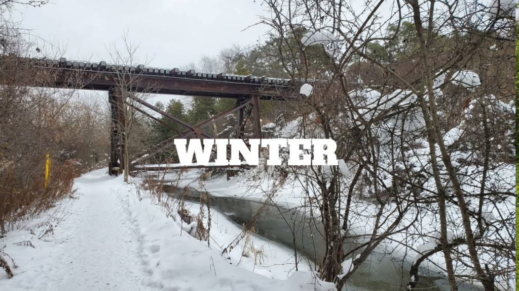 Free winter packing list with the best Ontario winter activities for the entire family