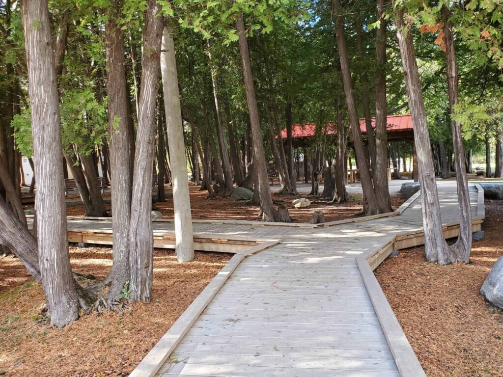 Sunset Park in Collingwood has lots of accessible spots for a picnic