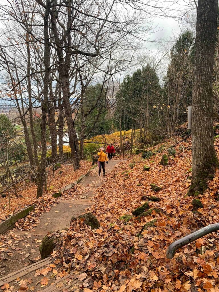 Fall in Ontario is the best time of the year for hiking and capturing Ontario's beauty