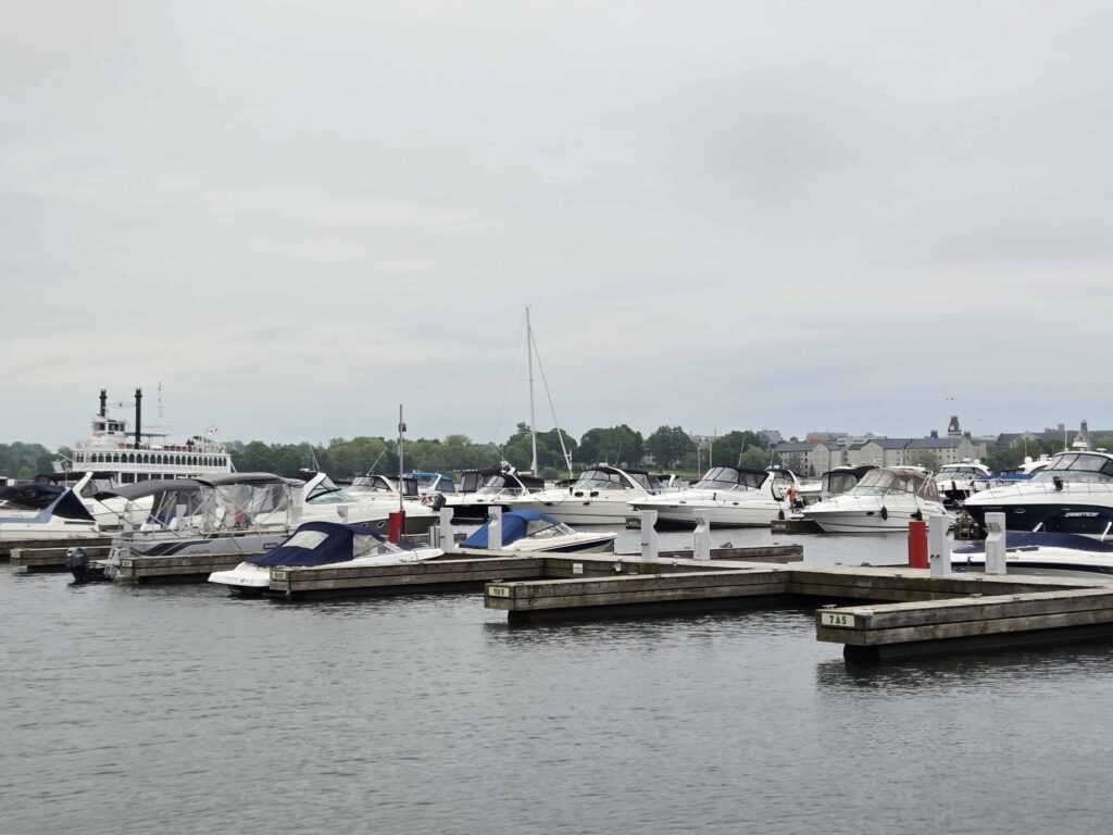 watch the boats come and go at the Kingston Harbour