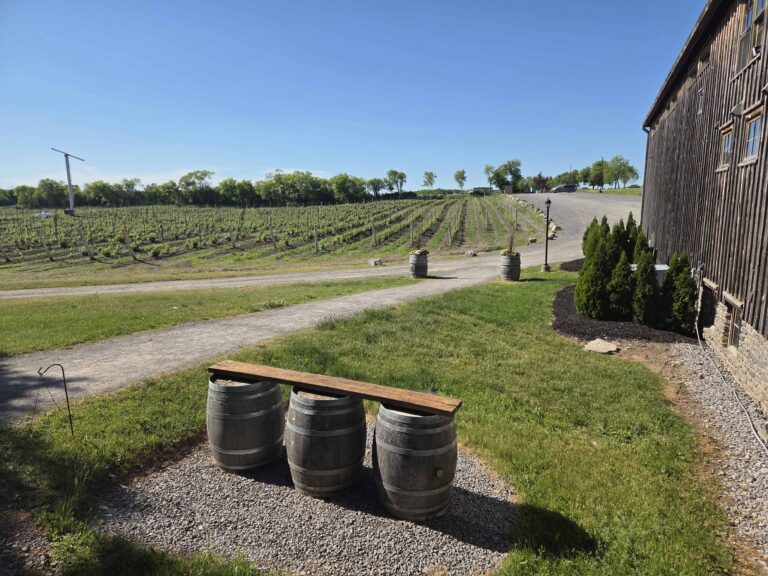 24 hours of wine tasting in Prince Edward County