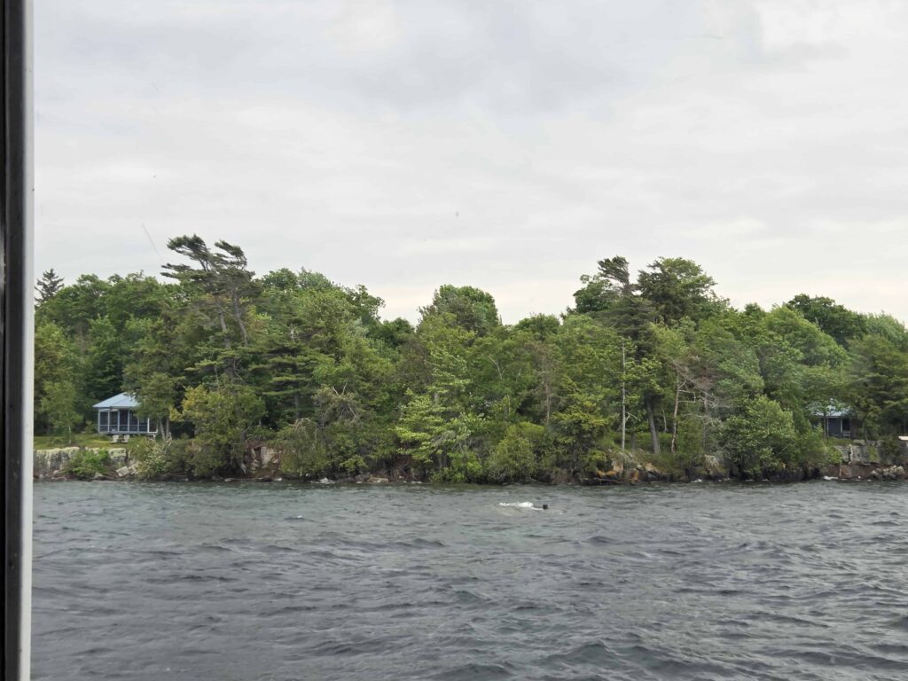 the most popular activity in Kingston is a cruise through the 1000 Islands