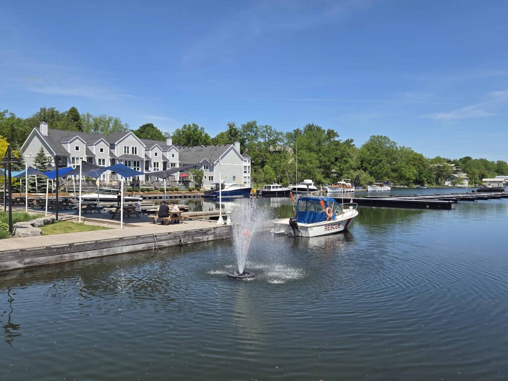 When in Picton, make time to take a stroll by the harbour