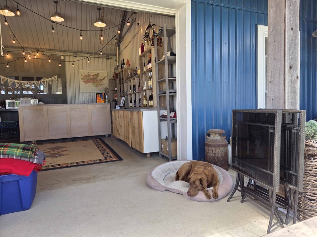 Broken Stoney is a laid back winery in Prince Edward County.  You can even enjoy its resident dog who welcomes all visitors