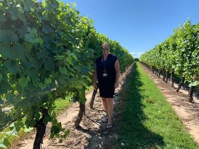 Me in the vineyard at Jackson Triggs Winery in Niagara-on-the-Lake on a beautiful summer day
