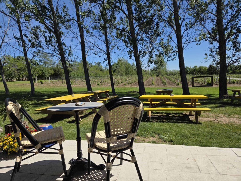 PEC is home to over 40 wineries, all with a laid-back atmospher and scenic outdoor seating