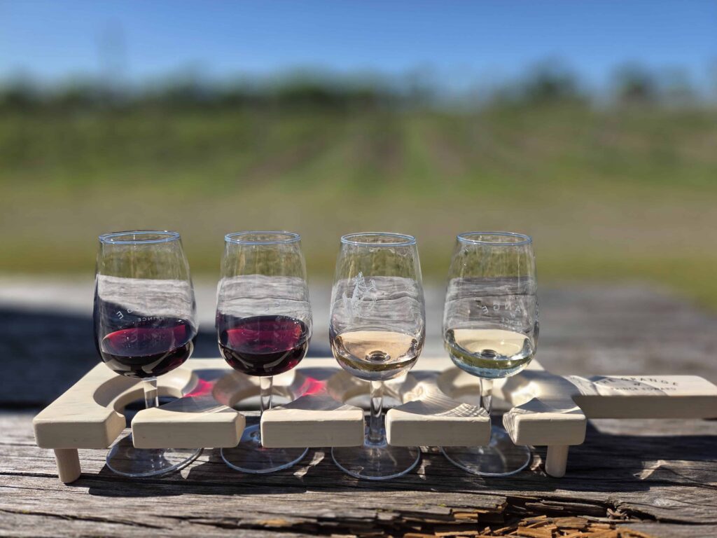 Spend the day experiencing the best wineries in Prince Edward County