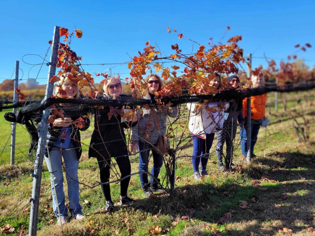 My favourite time to visit an Ontario winery is during the Fall. I love the Fall Harvest Hike in Norfolk County