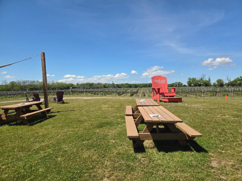 Prince Edward County is known for its wineries as opposed to the history found in Kingston