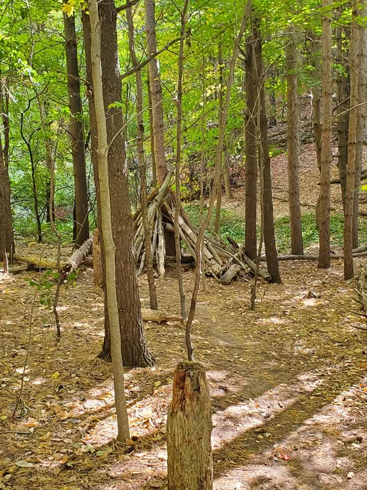 families love hiking at Huron Natural Area, an oasis in the heart of Kitchener