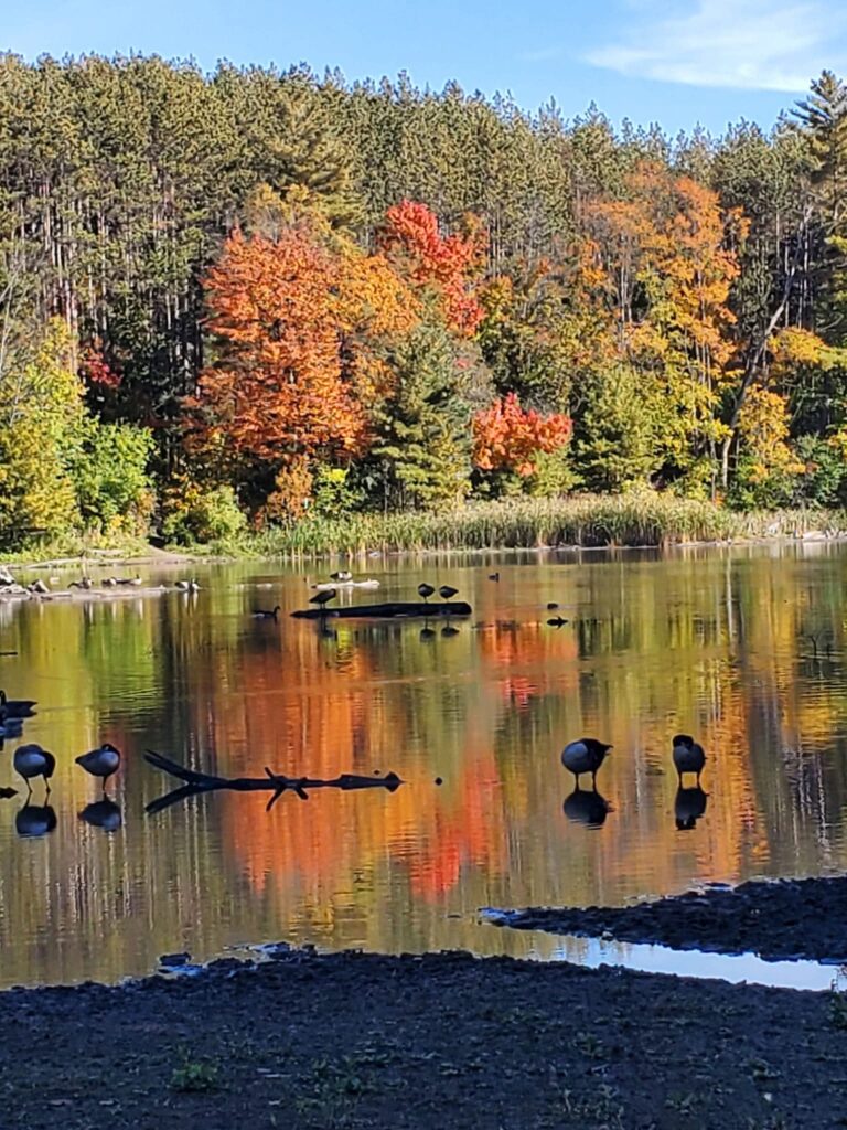 Enjoy the beautiful fall colours when hiking at Huron Natural Area, one of the things to do with kids when visiting Kitchener