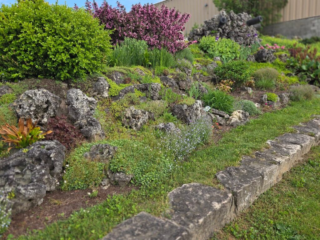 The Kincardine Rock Garden is beginning to bloom in early June